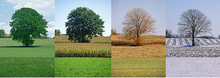 街机空战游戏《飞天无限》7月29日推出 登陆各大平台